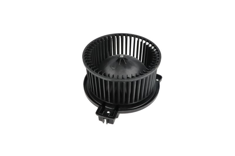 Salongipuhur, NRF 34331