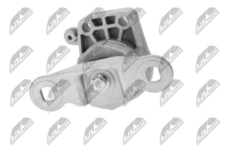 Paigutus, Mootor, NTY ZPS-FR-044