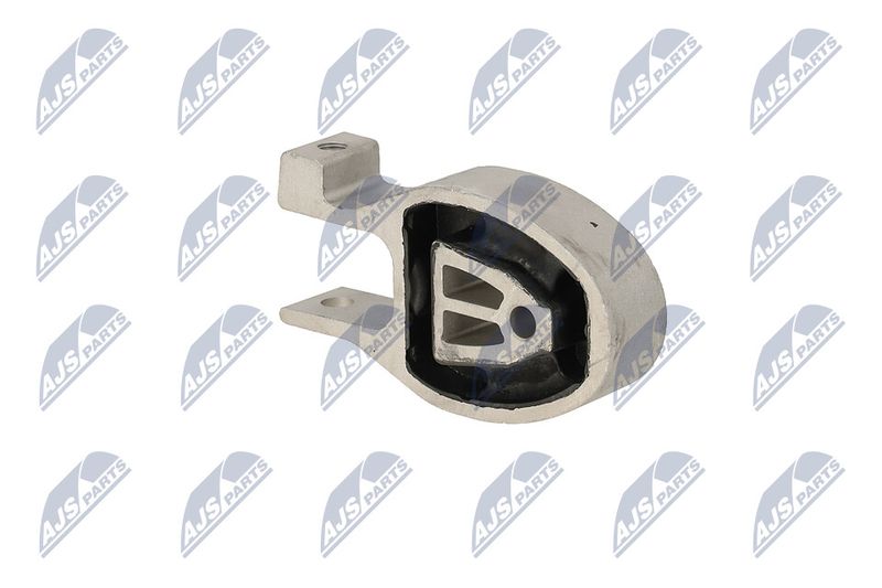 Paigutus, Mootor, NTY ZPS-FR-037