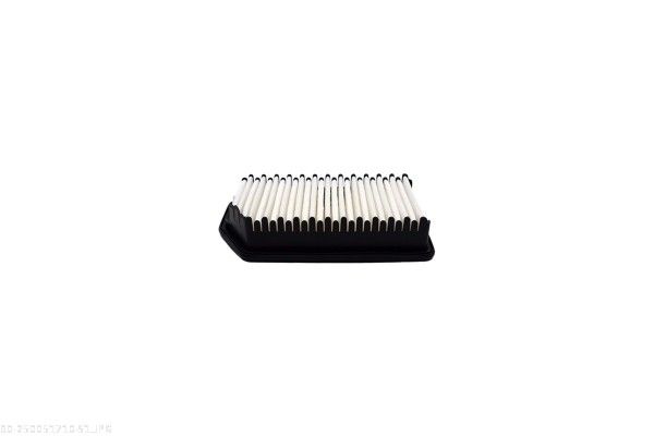 AUTOMEGA 250051710 Air Filter