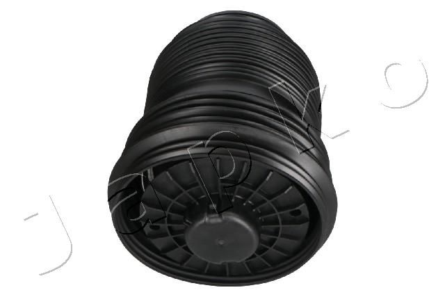 MJAS140_2.JPG