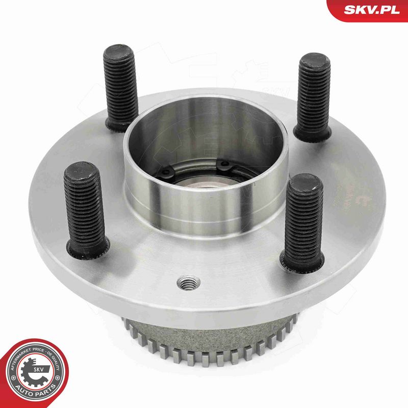 ESEN SKV 29SKV661 Wheel Bearing Kit