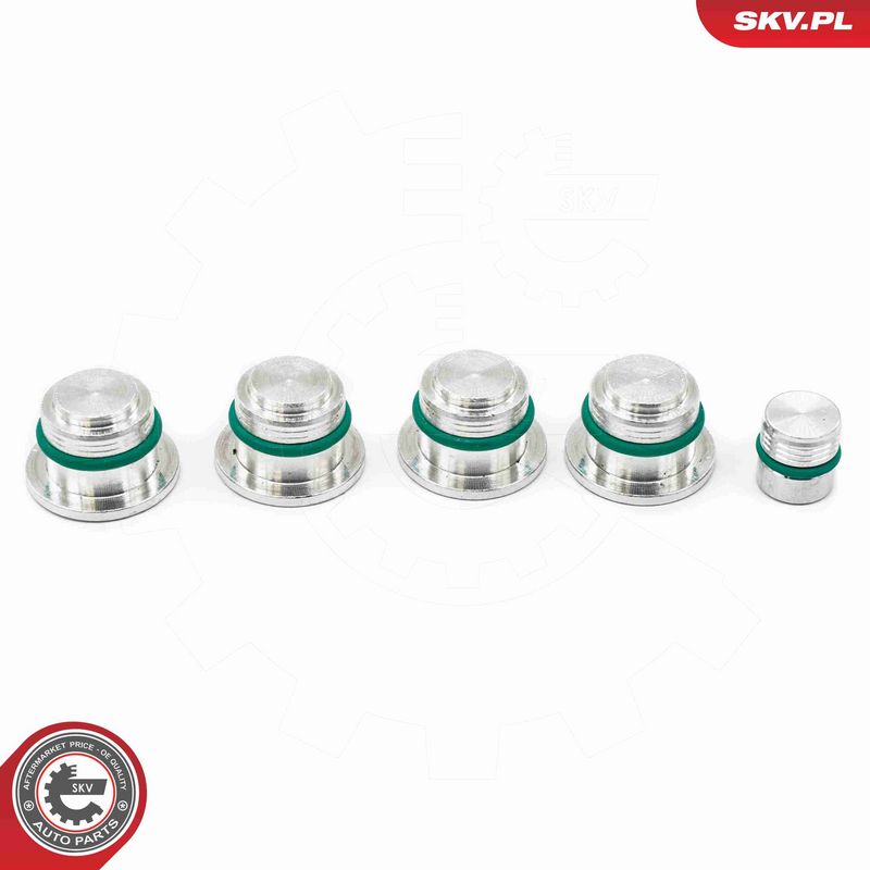 ESEN SKV 49SKV525 Repair Kit, intake manifold module