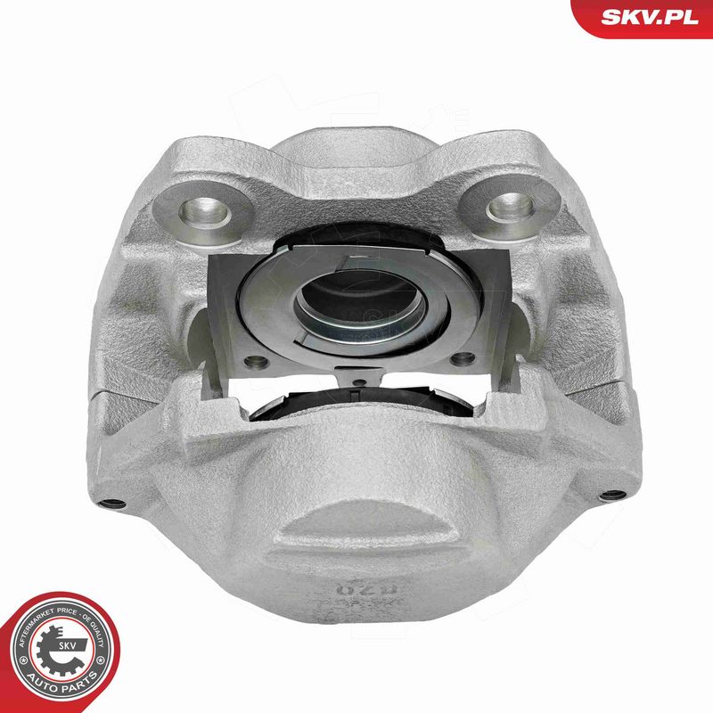ESEN SKV 79SKV201 Brake Caliper
