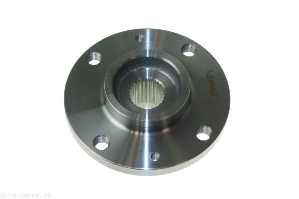 AUTOMEGA 110122910 Wheel Hub