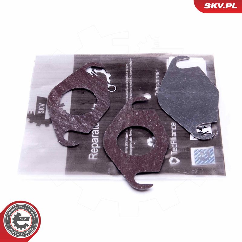 Remondikomplekt, EGR-klapp, ESEN SKV 14SKV577