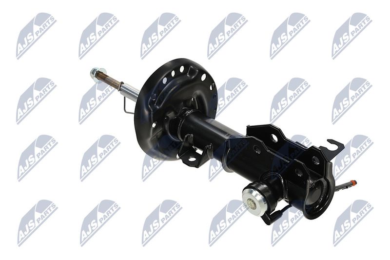 Amort, NTY A-PL-062