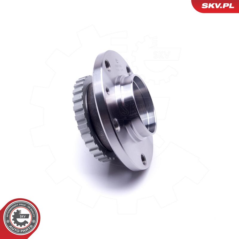 Rattalaagrikomplekt, ESEN...