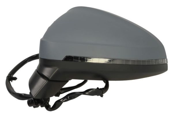 BLIC 5402-25-0054312P Exterior Mirror
