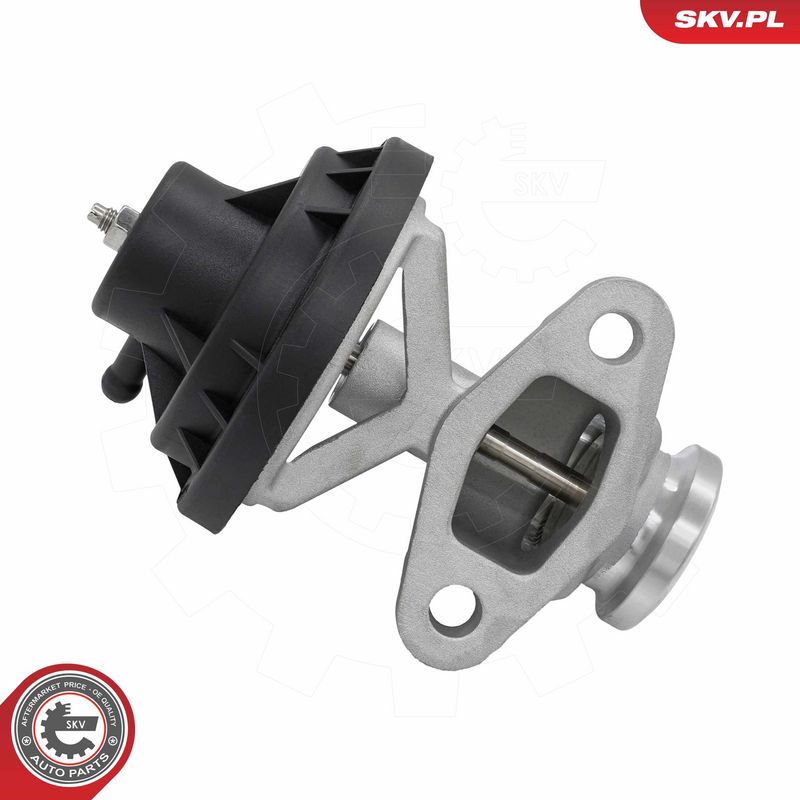 EGR-klapp, ESEN SKV 14SKV321