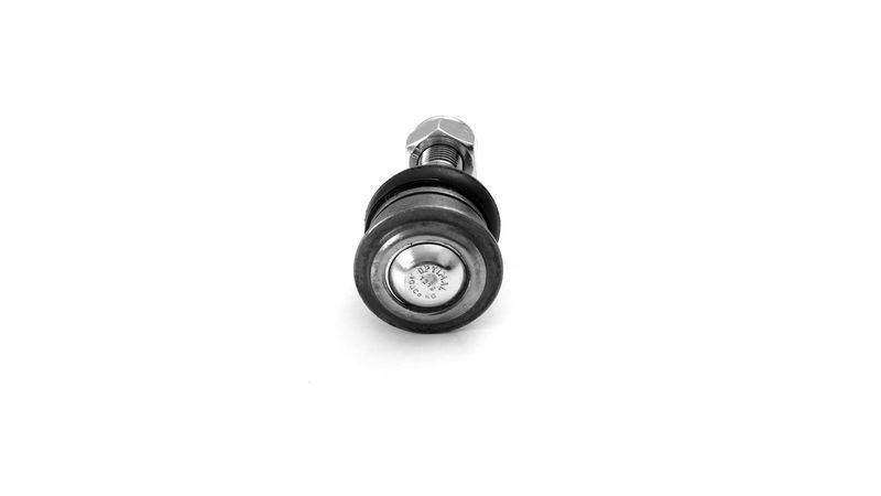 SKF VKDS812005 Šarnyras / girgždukas