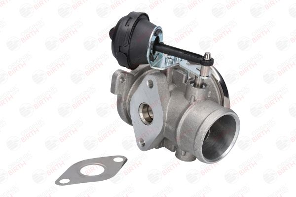 BIRTH 90025 EGR Valve