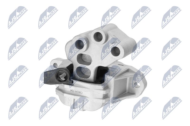 Paigutus, Mootor, NTY ZPS-CH-134