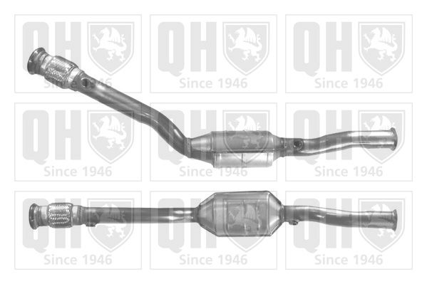 QH_QCAT90889H.JPG