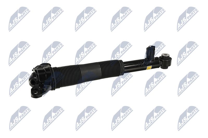 Amort, NTY A-LR-037