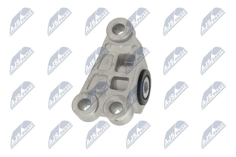 Paigutus, Mootor, NTY ZPS-CH-118