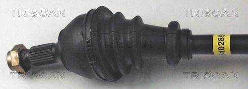 854028509_2.JPG