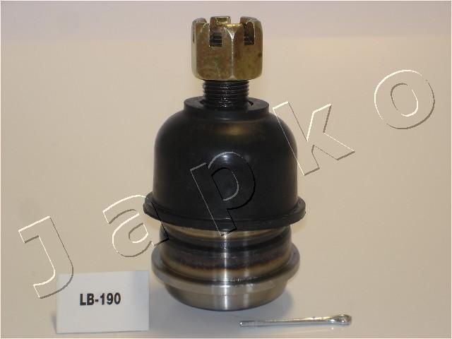 53190_1.JPG