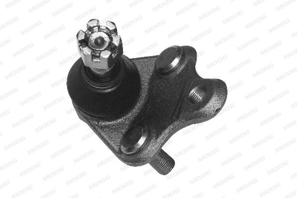 TO-BJ-0204_67973.JPG