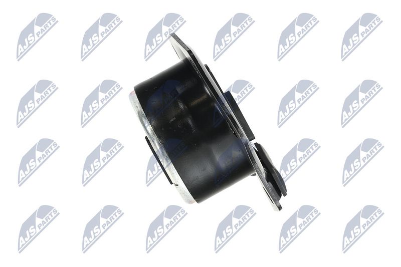 Paigutus, Mootor, NTY ZPS-CH-014