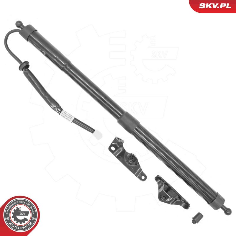 ESEN SKV 52SKV263 Electric Motor, tailgate