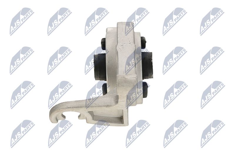 Paigutus, Mootor, NTY ZPS-CH-113