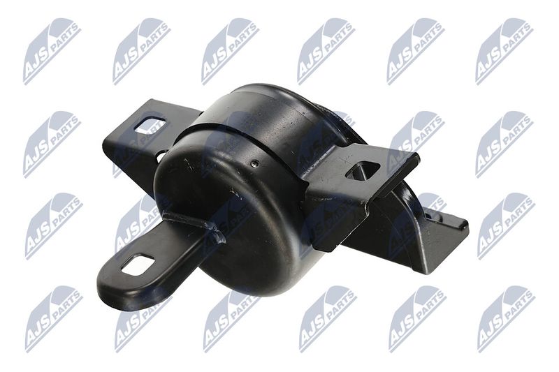 Paigutus, Mootor, NTY ZPS-DW-011