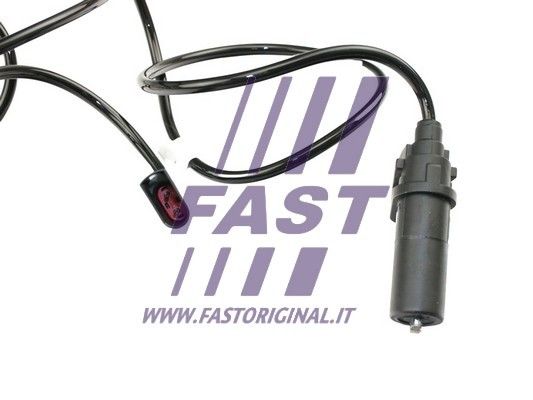 FT80554_2_1.JPG