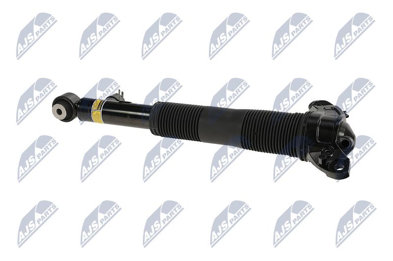 Amort, NTY A-LR-036