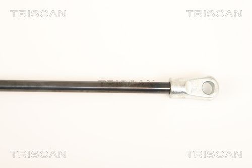 TRIS87109016_3.JPG