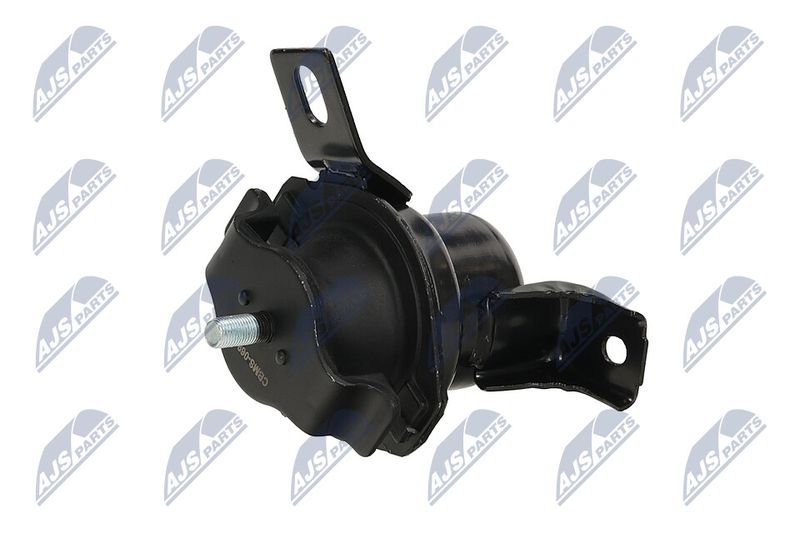 Paigutus, Mootor, NTY ZPS-MS-069