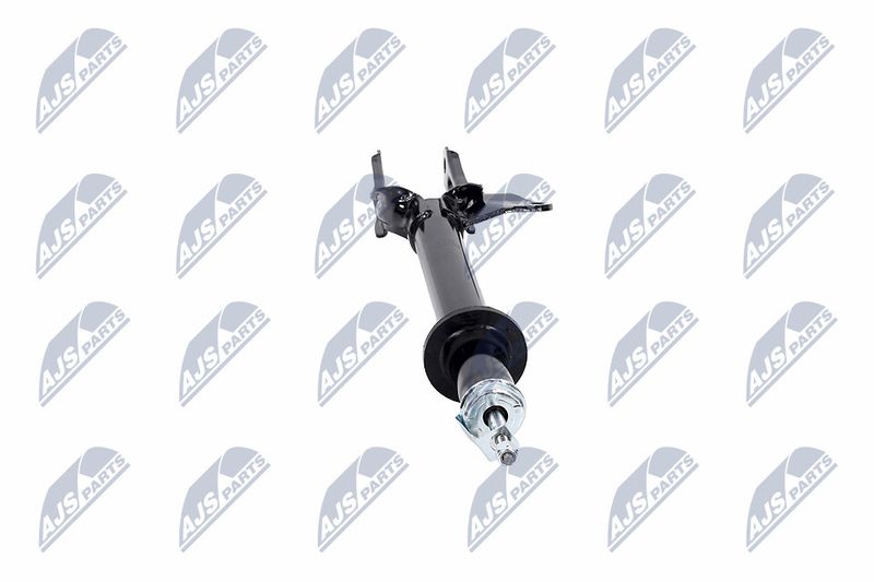 Amort, NTY A-CH-081