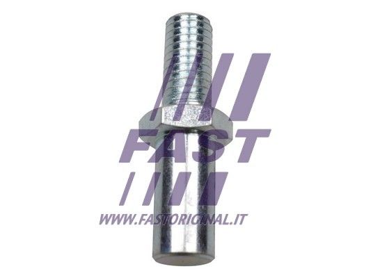 FT95338_1_1.JPG