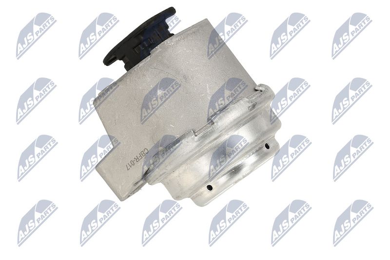 Paigutus, Mootor, NTY ZPS-FR-017