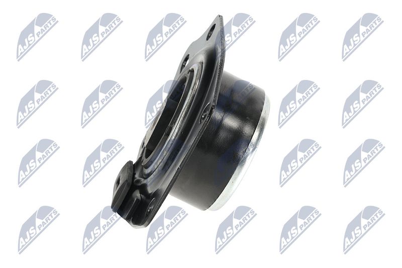 Paigutus, Mootor, NTY ZPS-CH-014