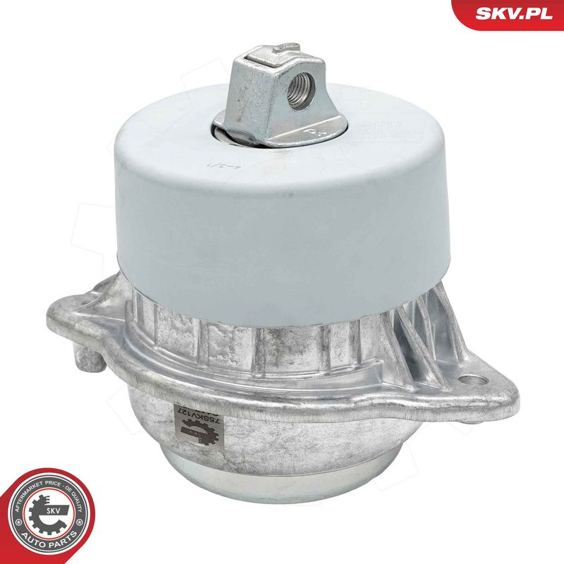 Paigutus, Mootor, ESEN SKV 75SKV127