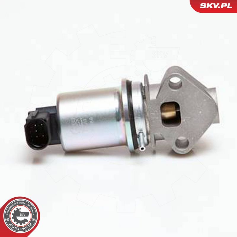 ESEN SKV 14SKV043 EGR Valve