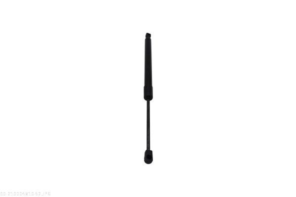 AUTOMEGA 210004810 Gas Spring, boot/cargo area