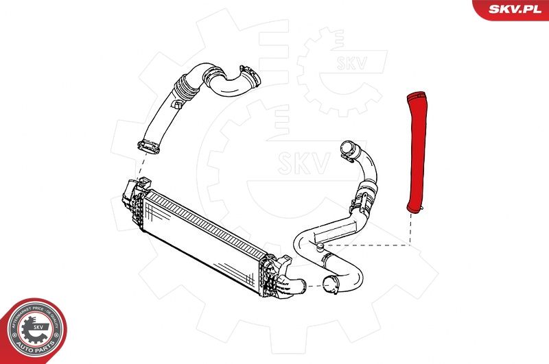 Шланг подачі наддувального повітря, Skv Germany 24SKV771
