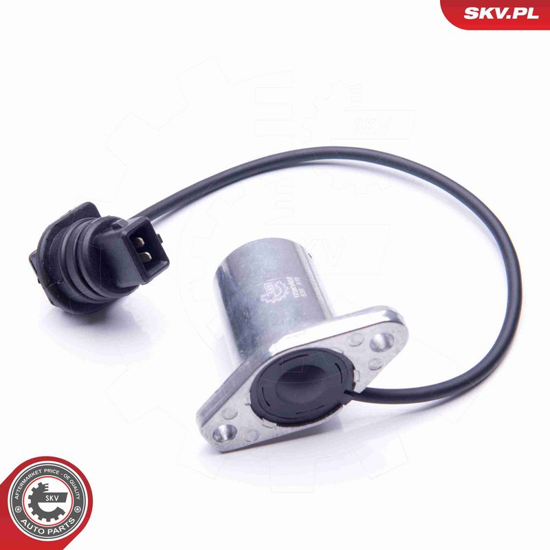 ESEN SKV 17SKV407 Sensor, engine oil level