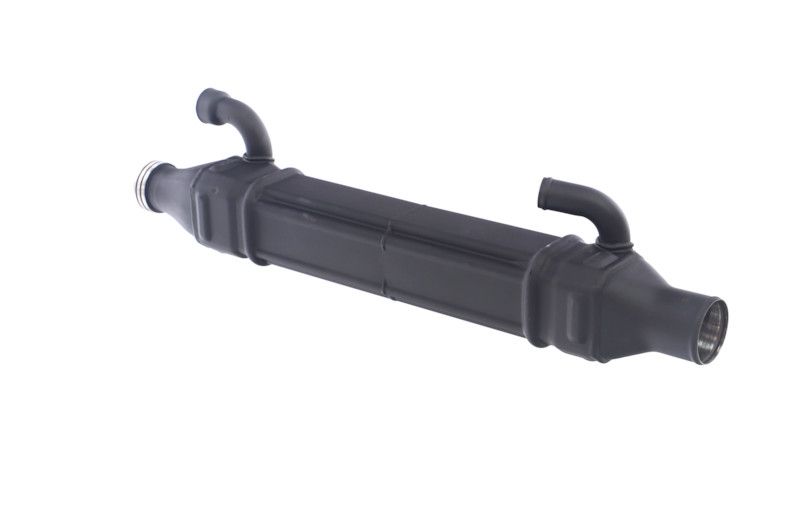 REMANTE 010-001-000022R EGR Module