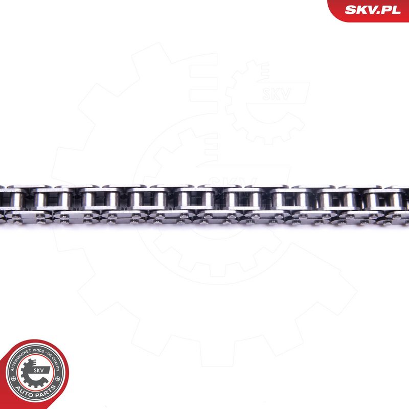 Mootori keti komplekt, ESEN SKV 21SKV111
