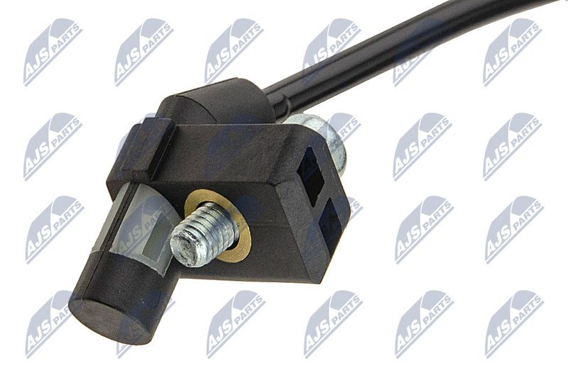 ecp-vw-005_2-wm.JPG