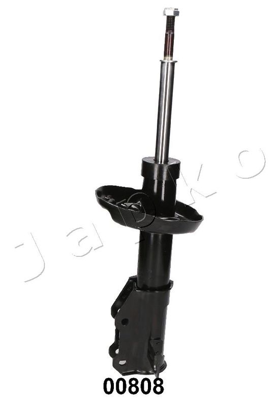MJ00808_1.JPG