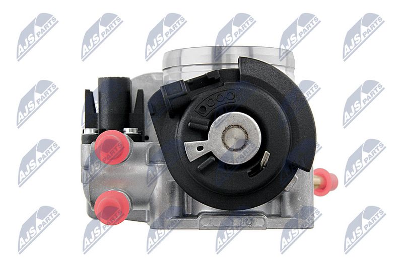 etb-vw-013_6-wm.JPG
