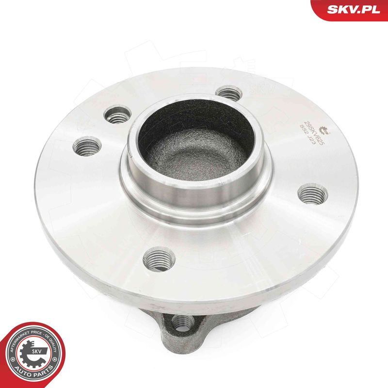 ESEN SKV 29SKV625 Wheel Bearing Kit