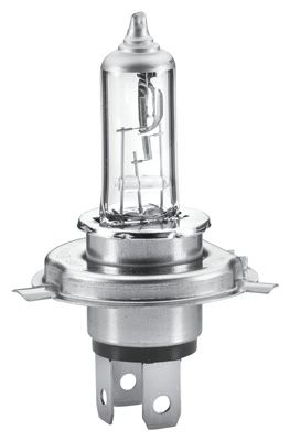 HELLA 8GJ 223 498-221 Bulb, spotlight