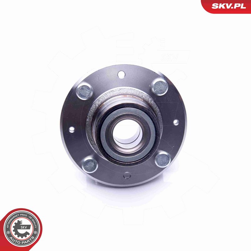 ESEN SKV 29SKV210 Wheel Bearing Kit