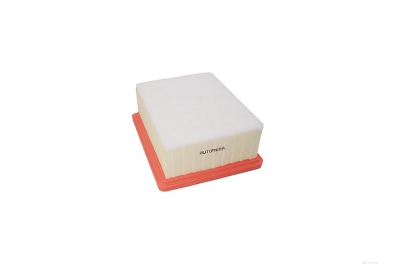 AUTOMEGA 180029210 Air Filter