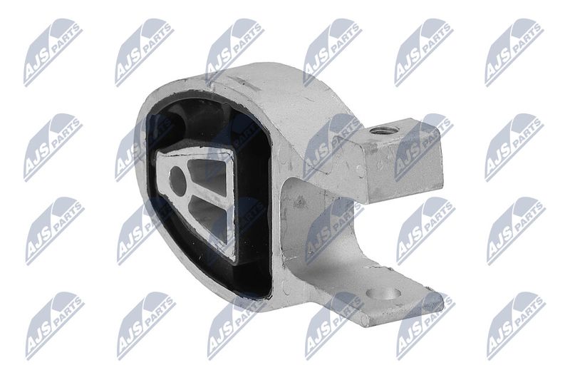 Paigutus, Mootor, NTY ZPS-FR-038